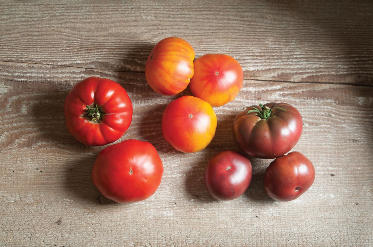 French Heritage Collection – Tomato Seed